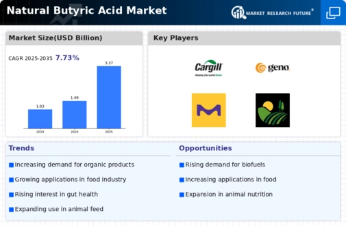 Natural Butyric Acid Market
 Infographic