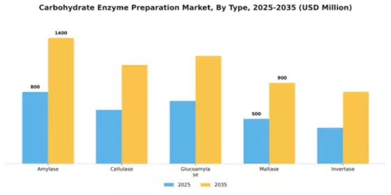 Carbohydrate Enzyme Preparation Market Segment Image 4