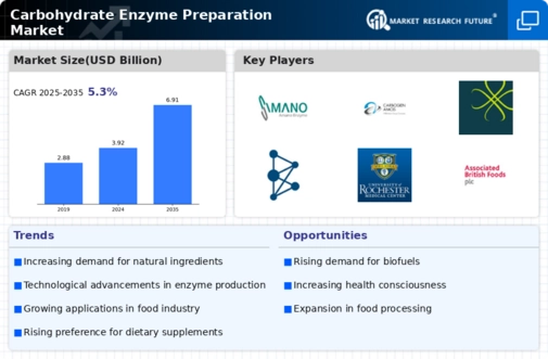Carbohydrate Enzyme Preparation Market Infographic