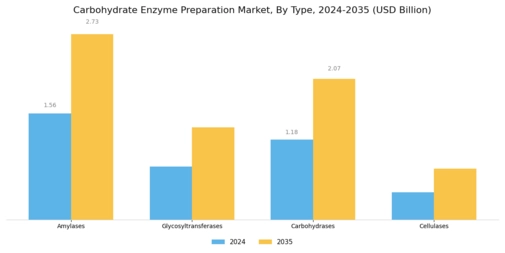 Carbohydrate Enzyme Preparation Market Segment Image 0
