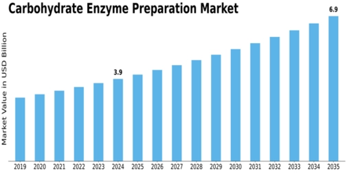 Carbohydrate Enzyme Preparation Market Size