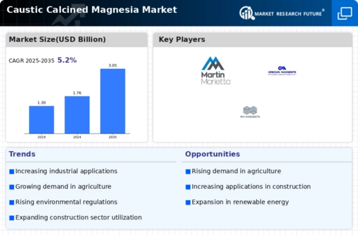 Caustic Calcined Magnesia Market Infographic