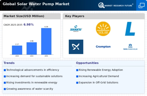 Solar Water Pumps Market Infographic