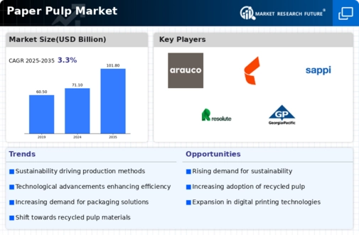 Paper Pulp Market Infographic