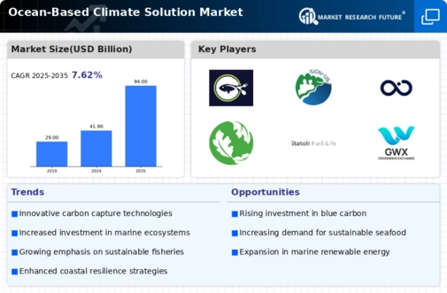 Ocean Based Climate Solution Market Infographic