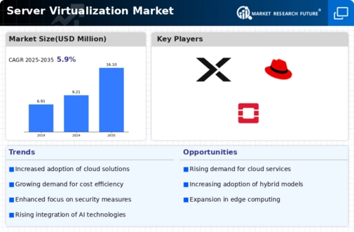 Server Virtualization Market Infographic