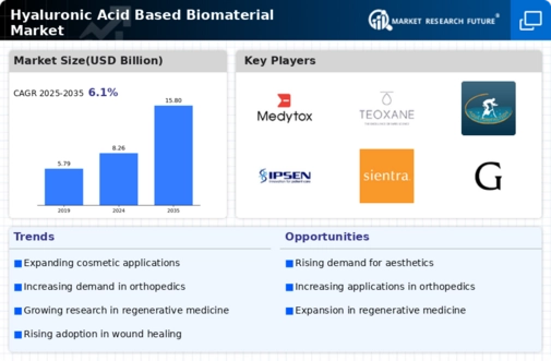 Hyaluronic Acid Based Biomaterial Market
 Infographic