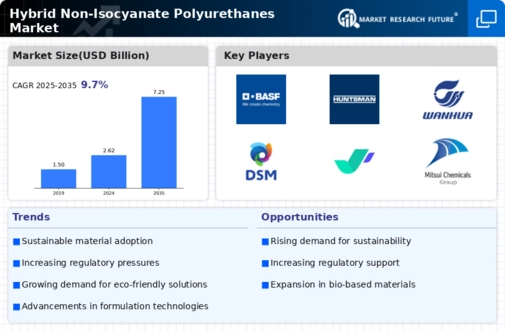 Hybrid Non Isocyanate Polyurethanes Market
 Infographic