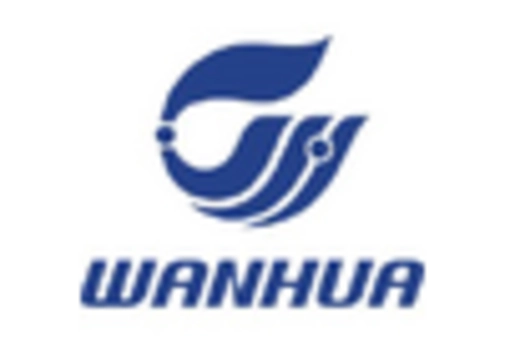 Hybrid Non Isocyanate Polyurethanes Market
 key player