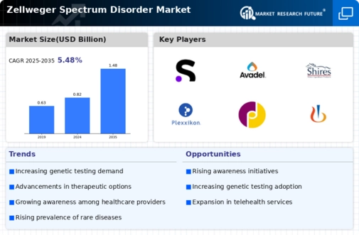 Zellweger Spectrum Disorder Market Infographic