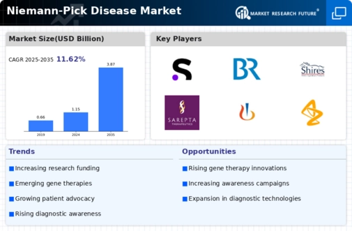 Niemann Pick Disease Market
 Infographic