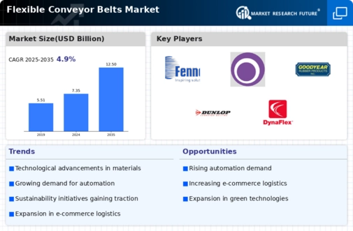 Flexible Conveyor Belts Market Infographic