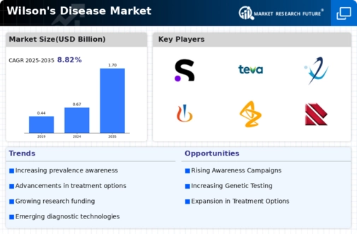Wilsons Disease Market Infographic