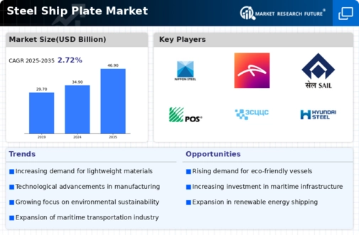 Steel Ship Plate Market Infographic