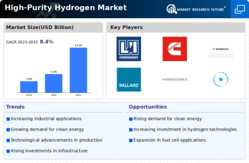 High Purity Hydrogen Market Infographic