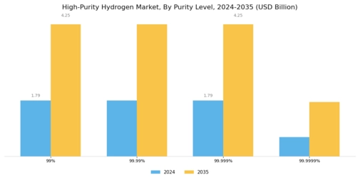 High Purity Hydrogen Market Segment Image 3