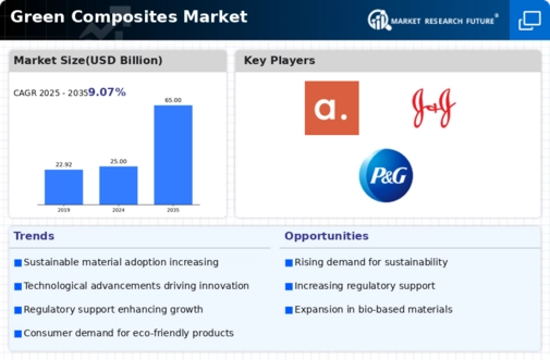 Green Composites Market Infographic