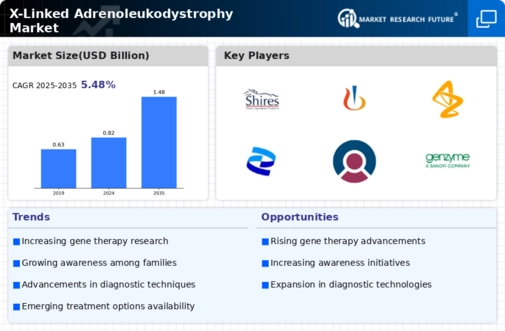 X Linked Adrenoleukodystrophy Market
 Infographic