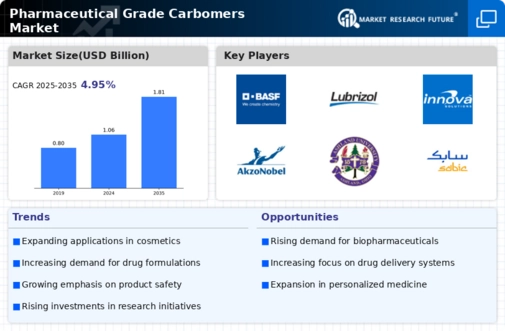 Pharmaceutical Grade Carbomers Market Infographic