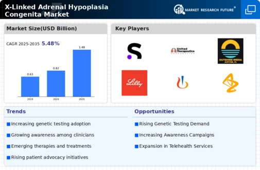 X-Linked Adrenal Hypoplasia Congenita Market Infographic