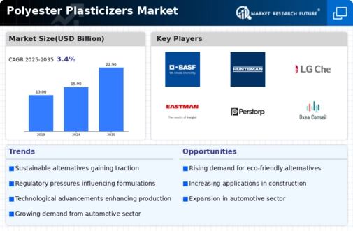 Polyester Plasticizers Market Infographic