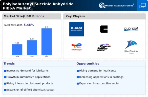 Polyisobutenyl Succinic Anhydride Market Infographic