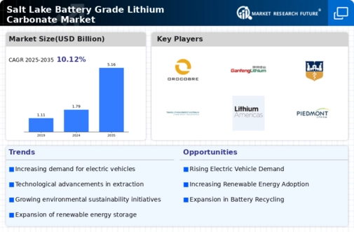 Salt Lake Battery Grade Lithium Carbonate Market Infographic