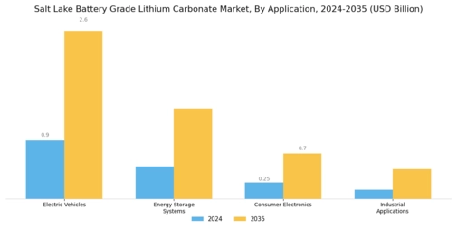 Salt Lake Battery Grade Lithium Carbonate Market Segment Image 0