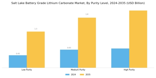 Salt Lake Battery Grade Lithium Carbonate Market Segment Image 1