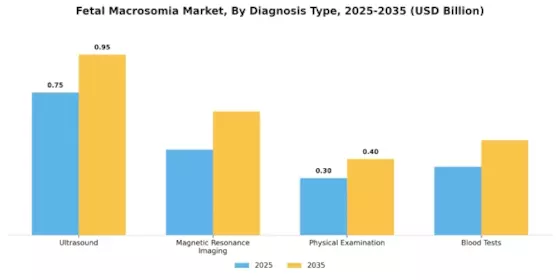 Fetal Macrosomia Market Segment Image 0