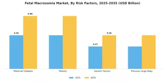 Fetal Macrosomia Market Segment Image 2