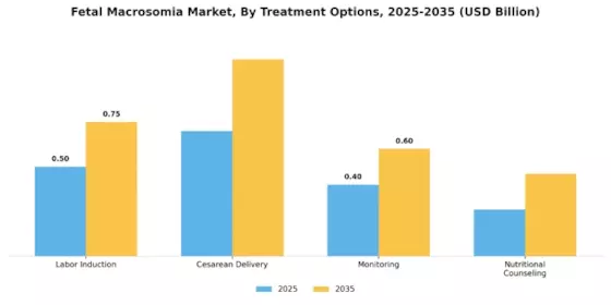 Fetal Macrosomia Market Segment Image 3