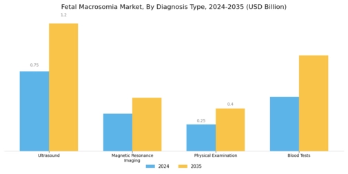 Fetal Macrosomia Market Segment Image 0