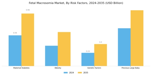 Fetal Macrosomia Market Segment Image 1