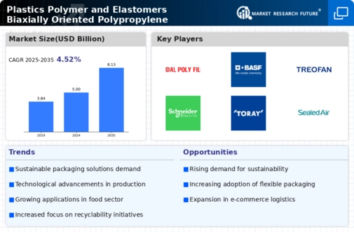 Plastics Polymer Elastomers Biaxially Oriented Polypropylene Films Market Infographic