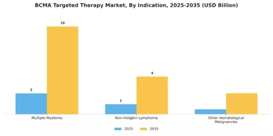BCMA Targeted Therapy Market Segment Image 1