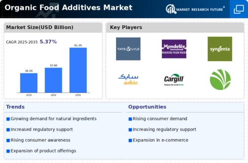 Organic Food Additives Market Infographic