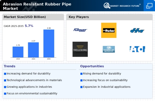 Abrasion Resistant Rubber Pipe Market Infographic