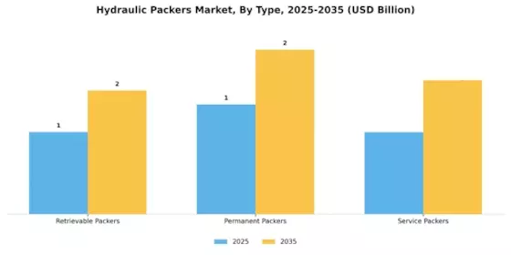 Hydraulic Packers Market Segment Image 1