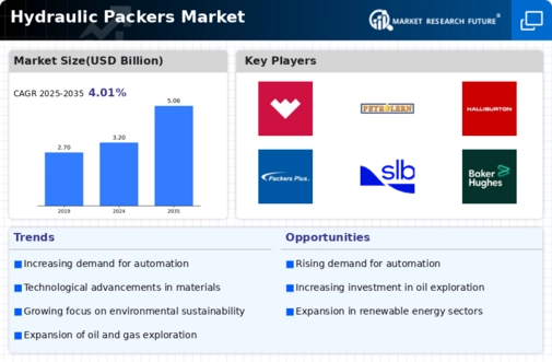 Hydraulic Packers Market Infographic