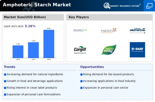 Amphoteric Starch Market Infographic