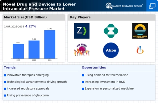 Novel Drug Devices to Lower Intraocular Pressure Market Infographic