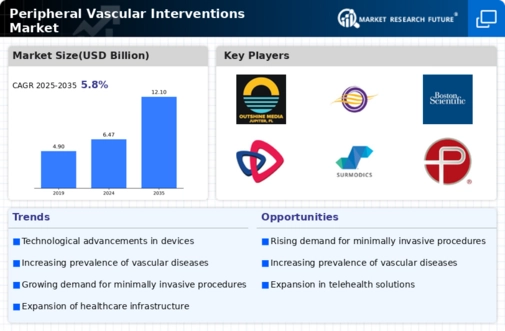 Peripheral Vascular Interventions Market Infographic