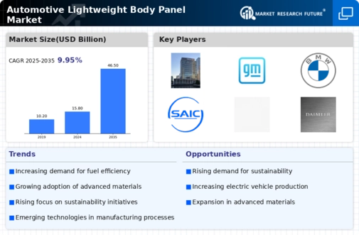 Automotive Light Weight Body Panel Market Infographic