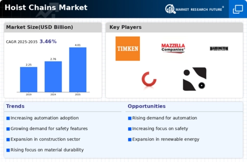 Hoist Chains Market Infographic