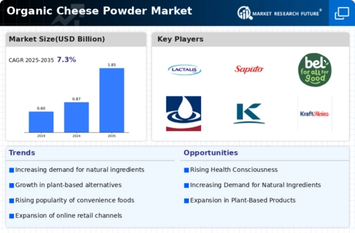 Organic Cheese Powder Market Infographic
