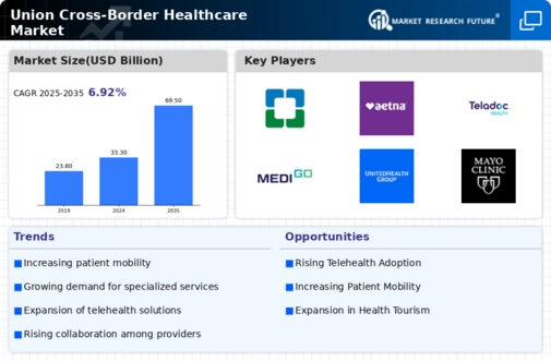 Union Cross Border Healthcare Market Infographic