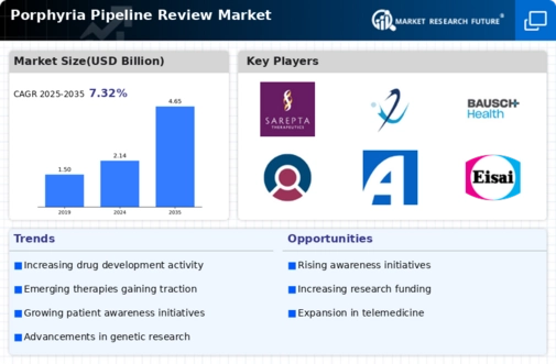 Porphyria Pipeline Review Market
 Infographic
