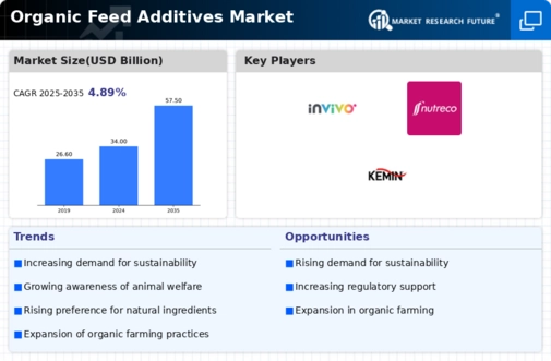 Organic Feed Additives Market Infographic