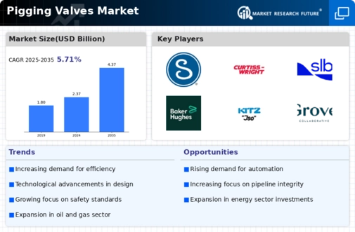 Pigging Valves Market Infographic